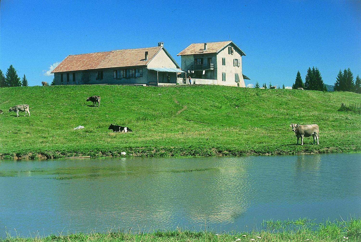 Alaska Clubresidence Folgaria Bagian luar foto