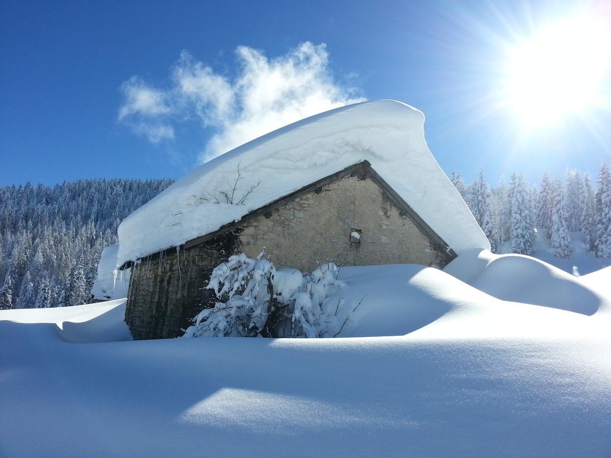 Alaska Clubresidence Folgaria Bagian luar foto